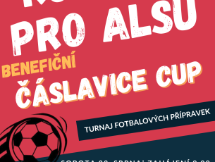 čáslavice